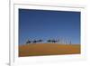 Morocco, Sahara. a Row of Camels Travels the Ridge of a Sand Dune-Brenda Tharp-Framed Photographic Print