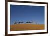 Morocco, Sahara. a Row of Camels Travels the Ridge of a Sand Dune-Brenda Tharp-Framed Photographic Print