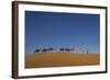 Morocco, Sahara. a Row of Camels Travels the Ridge of a Sand Dune-Brenda Tharp-Framed Photographic Print