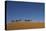 Morocco, Sahara. a Row of Camels Travels the Ridge of a Sand Dune-Brenda Tharp-Stretched Canvas