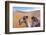 Morocco, Sahara Desert Sand Dunes Close Up of Camel for Rides-Bill Bachmann-Framed Photographic Print