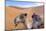 Morocco, Sahara Desert Sand Dunes Close Up of Camel for Rides-Bill Bachmann-Mounted Photographic Print