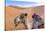 Morocco, Sahara Desert Sand Dunes Close Up of Camel for Rides-Bill Bachmann-Stretched Canvas