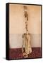 Morocco, Sahara region. Hajhouj or guembri musical instrument used in Gnawa music.-Brenda Tharp-Framed Stretched Canvas