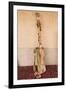 Morocco, Sahara region. Hajhouj or guembri musical instrument used in Gnawa music.-Brenda Tharp-Framed Photographic Print