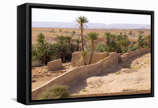 Morocco, Southern Morocco, Typical Palm Tree Grove-Emily Wilson-Framed Stretched Canvas
