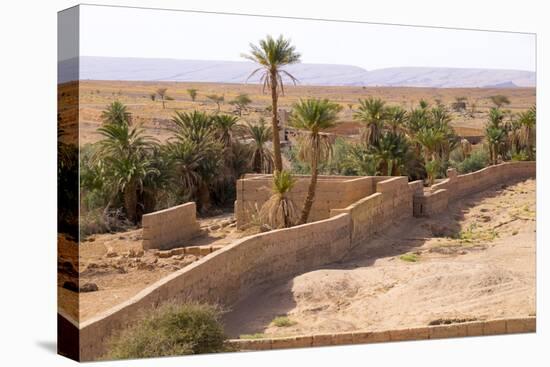 Morocco, Southern Morocco, Typical Palm Tree Grove-Emily Wilson-Stretched Canvas