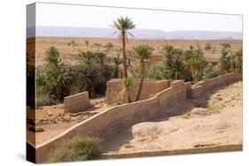 Morocco, Southern Morocco, Typical Palm Tree Grove-Emily Wilson-Stretched Canvas