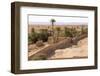 Morocco, Southern Morocco, Typical Palm Tree Grove-Emily Wilson-Framed Photographic Print