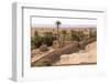 Morocco, Southern Morocco, Typical Palm Tree Grove-Emily Wilson-Framed Photographic Print