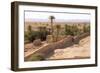 Morocco, Southern Morocco, Typical Palm Tree Grove-Emily Wilson-Framed Photographic Print