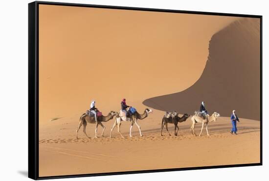 Morocco. Tourists ride camels in Erg Chebbi in the Sahara desert.-Brenda Tharp-Framed Stretched Canvas