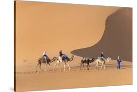 Morocco. Tourists ride camels in Erg Chebbi in the Sahara desert.-Brenda Tharp-Stretched Canvas