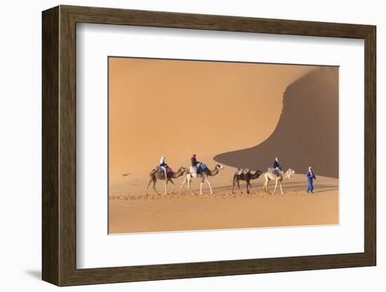 Morocco. Tourists ride camels in Erg Chebbi in the Sahara desert.-Brenda Tharp-Framed Photographic Print