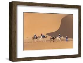 Morocco. Tourists ride camels in Erg Chebbi in the Sahara desert.-Brenda Tharp-Framed Photographic Print