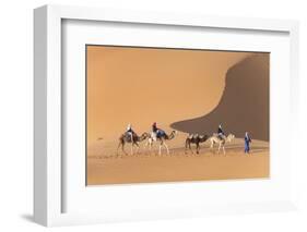 Morocco. Tourists ride camels in Erg Chebbi in the Sahara desert.-Brenda Tharp-Framed Photographic Print