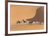 Morocco. Tourists ride camels in Erg Chebbi in the Sahara desert.-Brenda Tharp-Framed Premium Photographic Print
