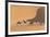 Morocco. Tourists ride camels in Erg Chebbi in the Sahara desert.-Brenda Tharp-Framed Premium Photographic Print