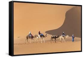 Morocco. Tourists ride camels in Erg Chebbi in the Sahara desert.-Brenda Tharp-Framed Stretched Canvas