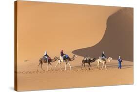 Morocco. Tourists ride camels in Erg Chebbi in the Sahara desert.-Brenda Tharp-Stretched Canvas