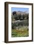 Morocco, Volubilis. Ancient Roman Ruins at Volubilis-Kymri Wilt-Framed Photographic Print