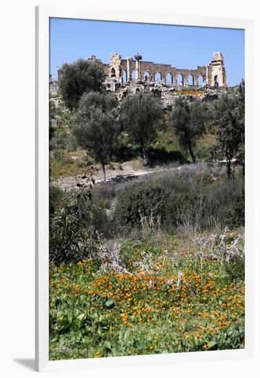 Morocco, Volubilis. Ancient Roman Ruins at Volubilis-Kymri Wilt-Framed Photographic Print