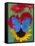 Morpho Anaxibia Butterfly on Flowers-Darrell Gulin-Framed Stretched Canvas