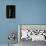 Morpho Peleides (Blue Morpho) - Caterpillar-Paul Starosta-Framed Stretched Canvas displayed on a wall