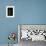 Morpho Peleides (Blue Morpho) - Caterpillar-Paul Starosta-Framed Photographic Print displayed on a wall