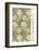 Morris Collection - Chrysanthemum-The Drammis Collection-Framed Giclee Print