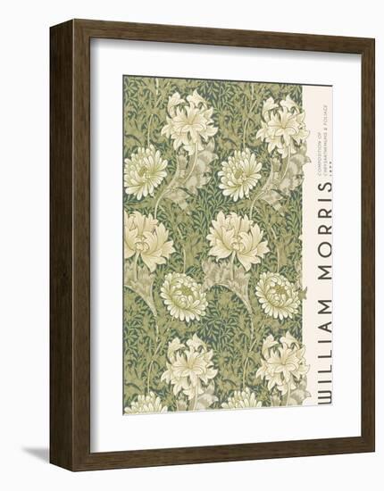 Morris Collection - Chrysanthemum-The Drammis Collection-Framed Giclee Print