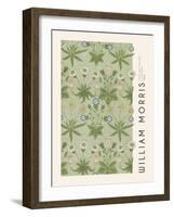 Morris Collection - Daisy-The Drammis Collection-Framed Giclee Print