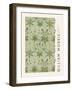 Morris Collection - Daisy-The Drammis Collection-Framed Giclee Print