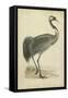 Morris Crane I-null-Framed Stretched Canvas