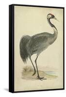 Morris Crane I-null-Framed Stretched Canvas