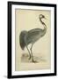 Morris Crane I-null-Framed Art Print