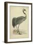 Morris Crane I-null-Framed Art Print