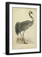 Morris Crane I-null-Framed Art Print