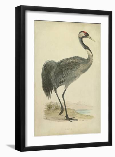 Morris Crane I-null-Framed Art Print