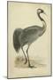 Morris Crane I-null-Mounted Art Print