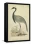 Morris Crane II-null-Framed Stretched Canvas