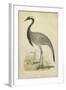 Morris Crane II-null-Framed Art Print