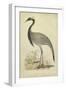 Morris Crane II-null-Framed Art Print