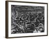 Morris Motors Automobiles in Production-null-Framed Photographic Print