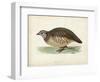 Morris Pheasants III-null-Framed Art Print