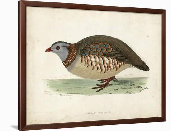 Morris Pheasants III-null-Framed Art Print