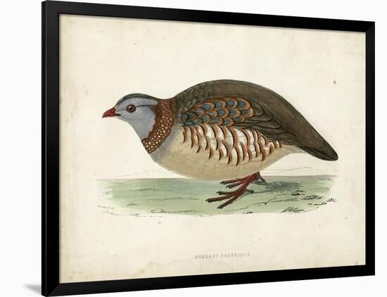 Morris Pheasants III-null-Framed Art Print