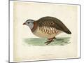 Wood Mount