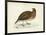 Morris Pheasants IV-null-Framed Art Print