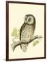 Morris Tengmalm's Owl-Reverend Francis O. Morris-Framed Art Print